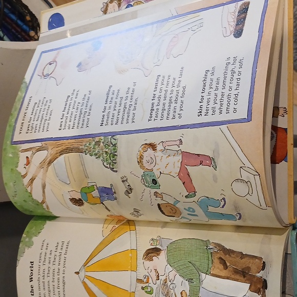 Your Insides - Picture 3 of 3